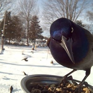 Meet your Posher, Deanna